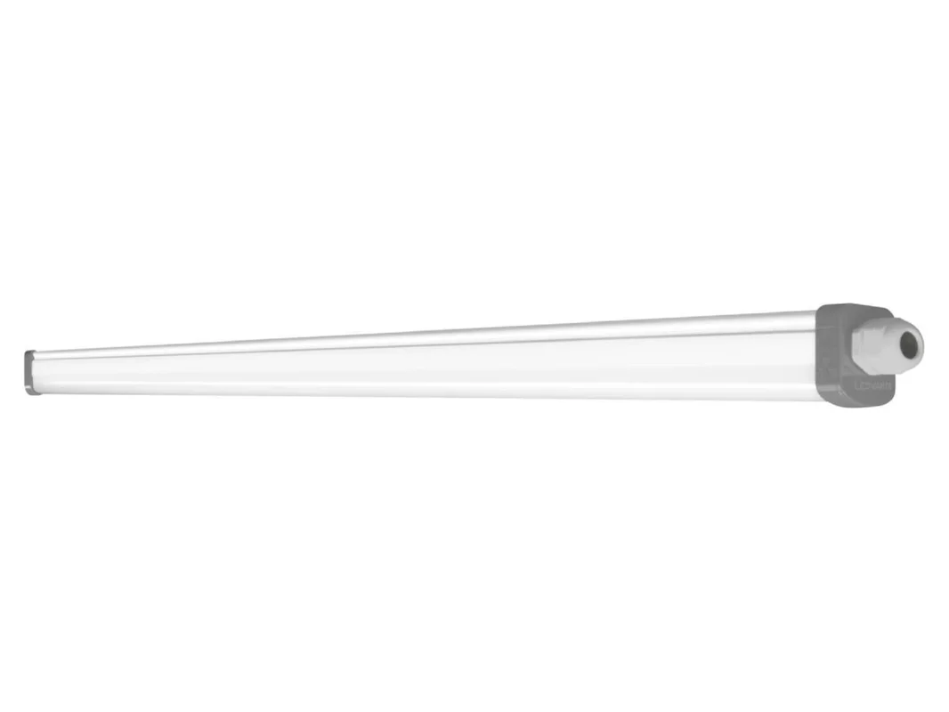 2026_05_29_419742